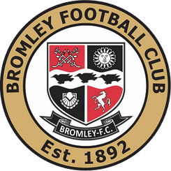 布里斯托尔流浪